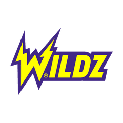 Wildzy logo